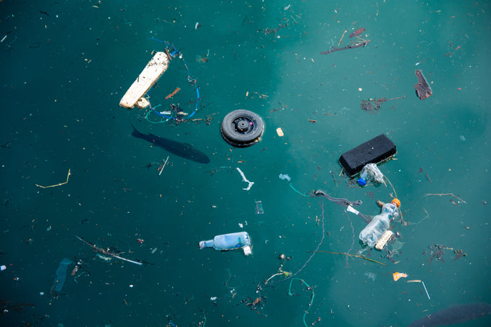 The Global Politics of Plastic Pollution and Its Local Impact
