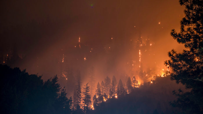 Ensuring Clean Water Amidst Wildfires: The AERstream GW Pro's Advanced Air Filtration Solution